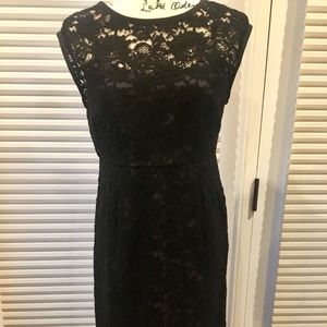 Black lace knee length dress